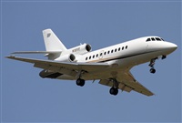 Jos Miguel Bernases - Noisy Spotters. Click to see full size photo
