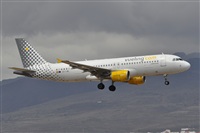 Miguel A. gueda Rguez.  (CANARY ISLANDS SPOTTING). Click to see full size photo
