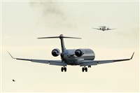 Ana L@dy Spotter. Click to see full size photo