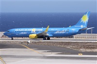 ©Alfonso Solís - Asociación Canary Islands Spotting. Click to see full size photo ©Alfonso Solís - Asociación Canary Islands Spotting. Click to see full size photo