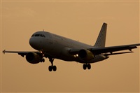 Ayoze Santana Mendez - Canary Islands Spotting. Click to see full size photo