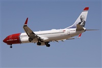 ©Alfonso Solís - Asociación Canary Islands Spotting. Click to see full size photo ©Alfonso Solís - Asociación Canary Islands Spotting. Click to see full size photo