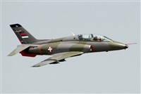 Tams. Click to see full size photo