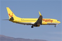 Alfonso Sols - Asociacin Canary Islands Spotting. Haz click para ampliar