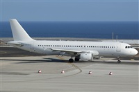 Luciano Fumero( freedom spotter)canary island spotting. Click to see full size photo