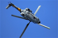 J. Victor Vega-Gran Canaria Spotters. Click to see full size photo