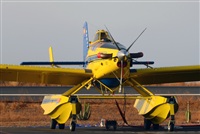 Ss. Click to see full size photo