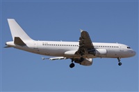 Alfonso Sols - Asociacin Canary Islands Spotting. Click to see full size photo