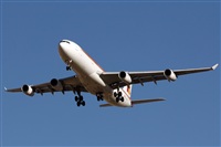 Adrin Alonso Lemes - Lanzarote Spotters. Haz click para ampliar