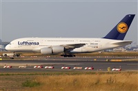 Javier de la Cruz - CANARY ISLANDS SPOTTING. Click to see full size photo