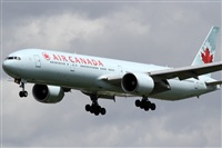 Rubn Gil - Noisy Spotters. Click to see full size photo