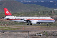 Miguel A. gueda Rguez.  (CANARY ISLANDS SPOTTING). Haz click para ampliar