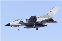 Paco Muoz Arencibia - Gran Canaria Spotters. Click to see full size photo