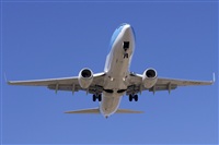 Saimon J Rodriguez   -   Canary Islands Spotting. Click to see full size photo