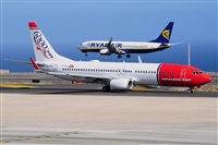 Miguel A. gueda Rguez.  (CANARY ISLANDS SPOTTING). Click to see full size photo