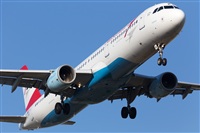Miguel Alia - Noisy Spotters. Click to see full size photo