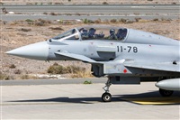 Florencio Martn Melin - Lanzarote Spotters. Click to see full size photo