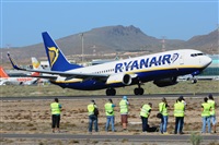 Miguel A. gueda Rguez.  (CANARY ISLANDS SPOTTING). Click to see full size photo