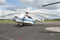 Alfonso Sols - Asociacin Canary Islands Spotting. Click to see full size photo