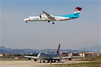 Rodrigo Carvalho - Noisy Spotters. Click to see full size photo