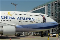Miguel A. gueda Rguez.  (CANARY ISLANDS SPOTTING). Click to see full size photo