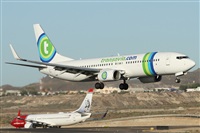 ©Alfonso Solís - Asociación Canary Islands Spotting. Click to see full size photo ©Alfonso Solís - Asociación Canary Islands Spotting. Click to see full size photo