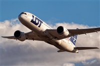 Javier de la Cruz - CANARY ISLANDS SPOTTING. Click to see full size photo