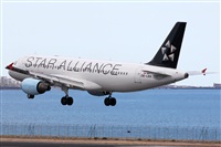 Adrin Alonso Lemes - Lanzarote Spotters. Click to see full size photo