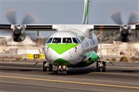 Javier de la Cruz - CANARY ISLANDS SPOTTING. Click to see full size photo