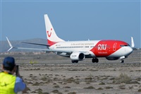 Miguel A. gueda Rguez.  (CANARY ISLANDS SPOTTING). Click to see full size photo