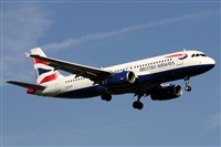 Alfonso Sols - Asociacin Canary Islands Spotting. Click to see full size photo