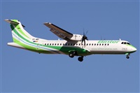 Alfonso Sols - Asociacin Canary Islands Spotting. Click to see full size photo