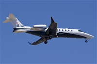 Saimon J Rodriguez   -   Canary Islands Spotting. Click to see full size photo