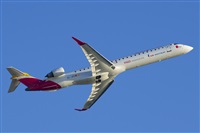 Saimon J Rodriguez   -   Canary Islands Spotting. Click to see full size photo
