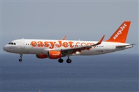 ©Alfonso Solís - Asociación Canary Islands Spotting. Click to see full size photo ©Alfonso Solís - Asociación Canary Islands Spotting. Click to see full size photo