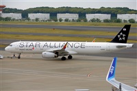 Miguel A. gueda Rguez.  (CANARY ISLANDS SPOTTING). Click to see full size photo