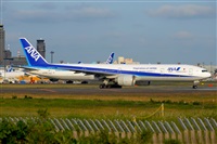 Miguel A. gueda Rguez.  (CANARY ISLANDS SPOTTING). Click to see full size photo