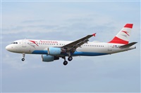 Miguel A. gueda Rguez.  (CANARY ISLANDS SPOTTING). Click to see full size photo