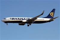 Alfonso Sols - Asociacin Canary Islands Spotting. Haz click para ampliar
