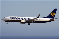 Alfonso Sols - Asociacin Canary Islands Spotting. Haz click para ampliar