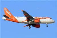 Miguel A. gueda Rguez.  (CANARY ISLANDS SPOTTING). Click to see full size photo