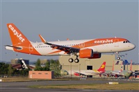 Miguel A. gueda Rguez.  (CANARY ISLANDS SPOTTING). Haz click para ampliar