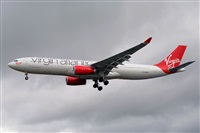 Miguel A. gueda Rguez.  (CANARY ISLANDS SPOTTING). Click to see full size photo