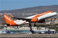 ©Alfonso Solís - Asociación Canary Islands Spotting. Click to see full size photo ©Alfonso Solís - Asociación Canary Islands Spotting. Click to see full size photo