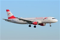Miguel A. gueda Rguez.  (CANARY ISLANDS SPOTTING). Click to see full size photo