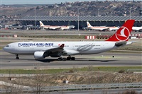 ©Alfonso Solís - Asociación Canary Islands Spotting. Click to see full size photo ©Alfonso Solís - Asociación Canary Islands Spotting. Click to see full size photo