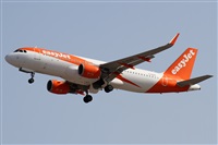 Alfonso Sols - Asociacin Canary Islands Spotting. Click to see full size photo