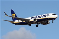 Alfonso Sols - Asociacin Canary Islands Spotting. Click to see full size photo