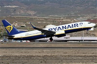 Alfonso Sols - Asociacin Canary Islands Spotting. Click to see full size photo