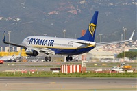 Miguel A. gueda Rguez.  (CANARY ISLANDS SPOTTING). Click to see full size photo